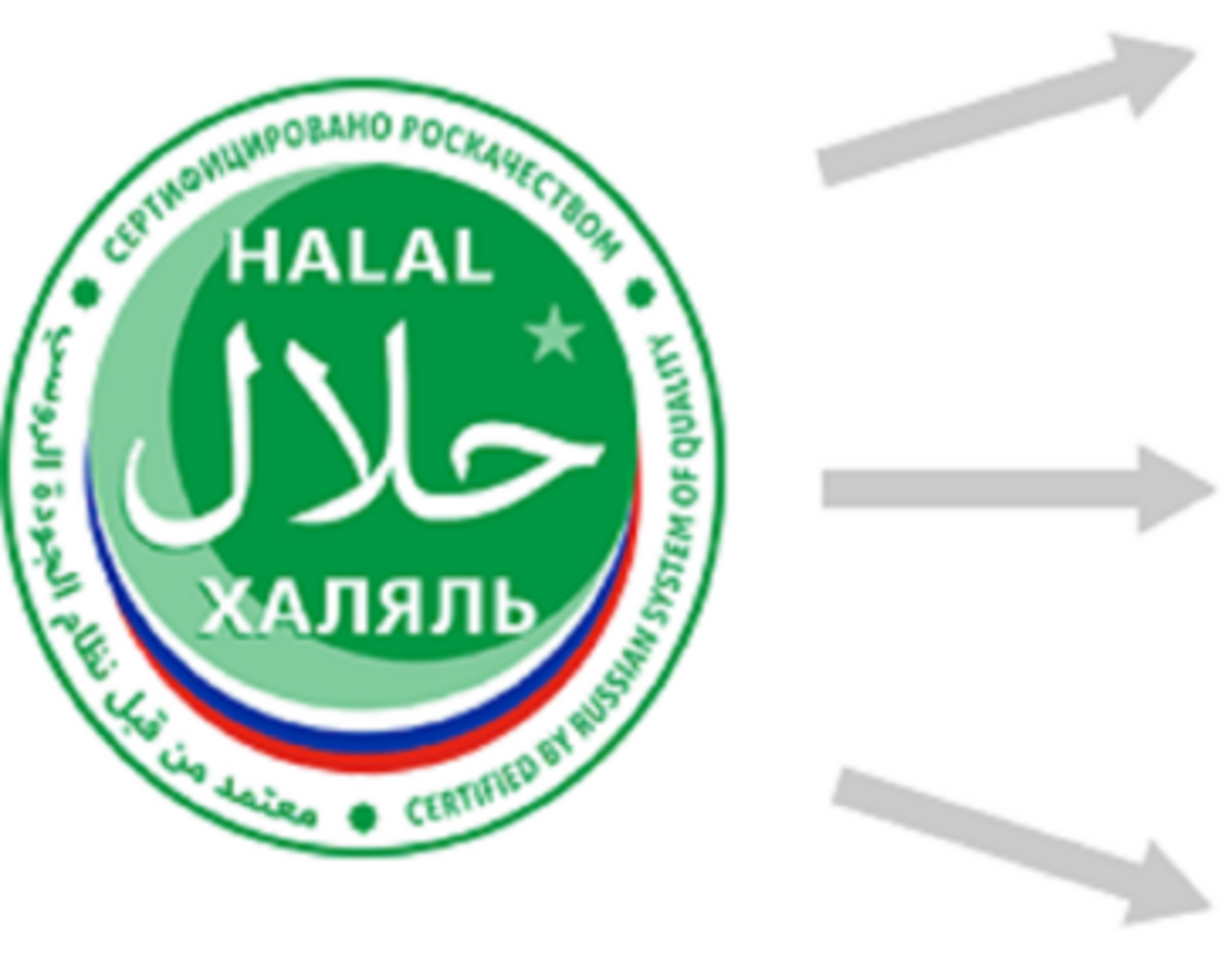 На первом предприятии Башкортостана провели международный аудит продукции на требования халяль