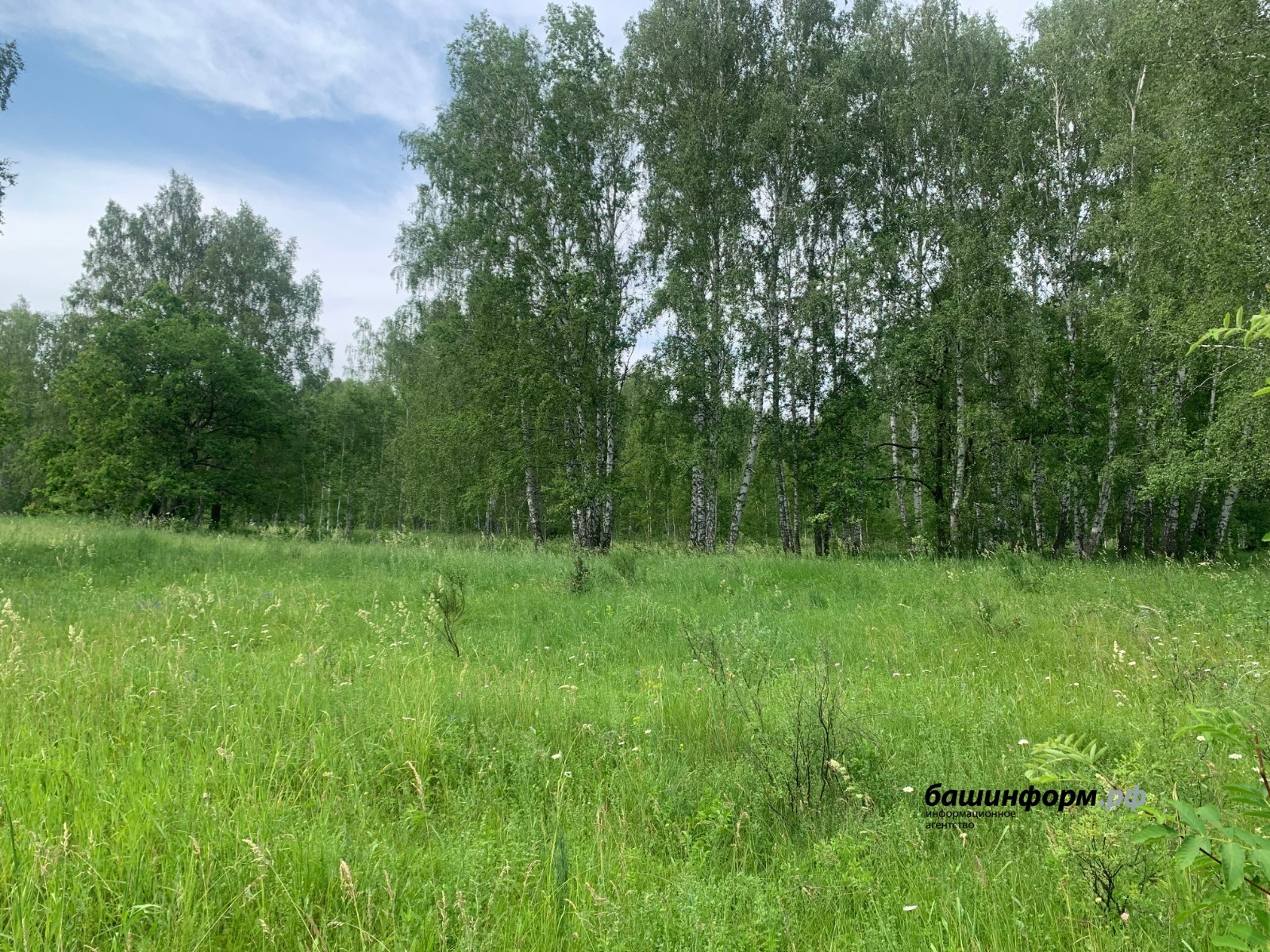 В Башкирии вновь похолодает