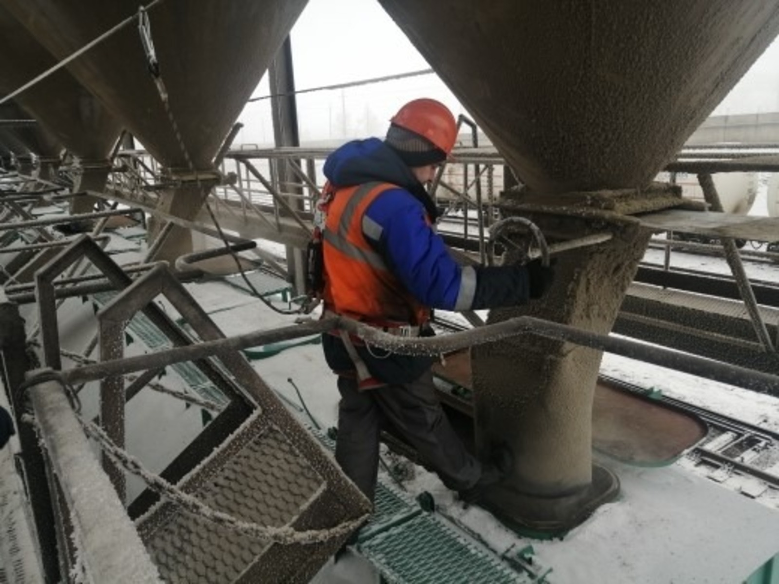 Башкирия отгрузила в Латвию высокопротеиновую кормовую добавку для животных