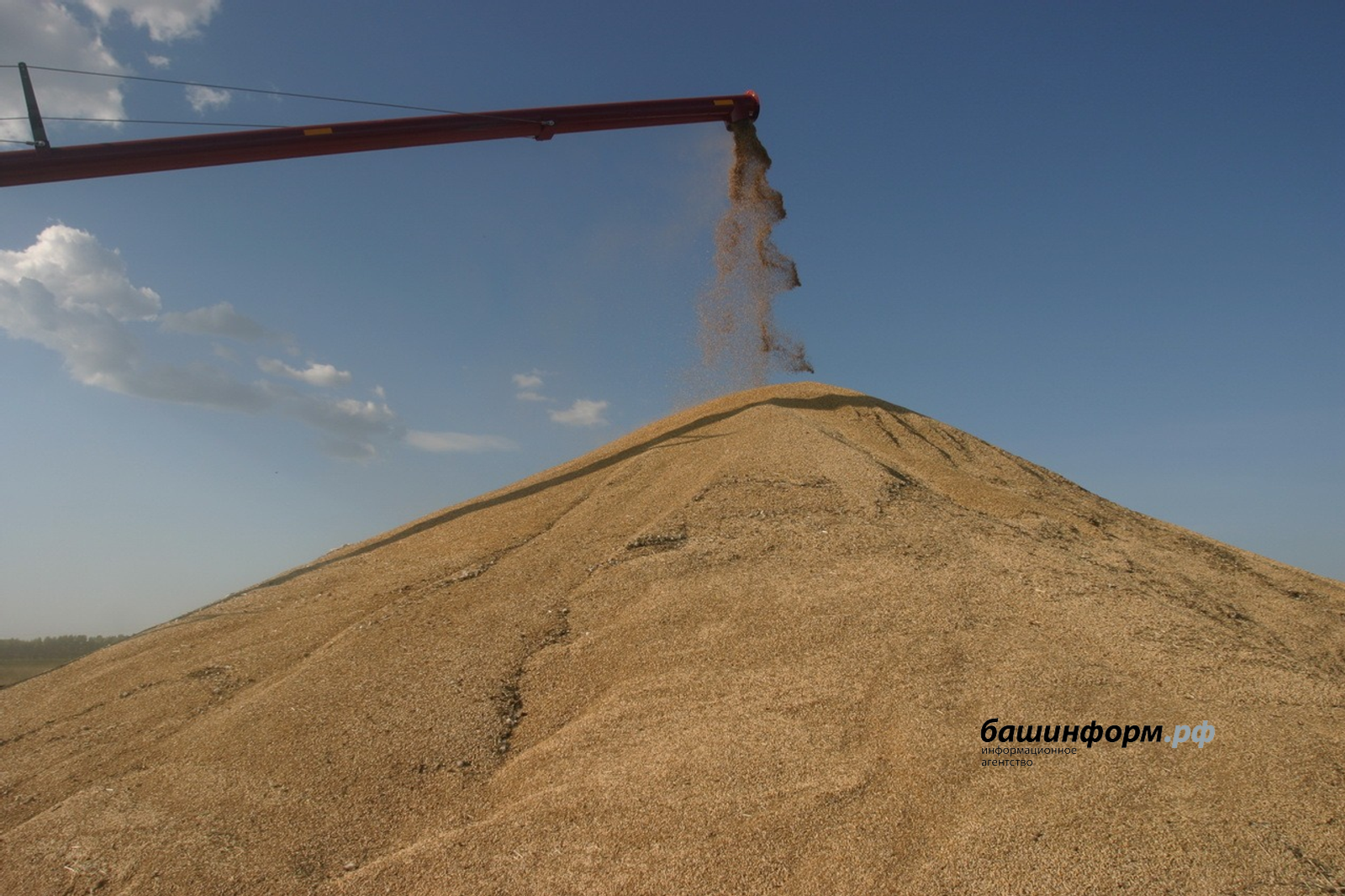 Аграрии Башкирии увеличили продажи зерна в регионы и на экспорт