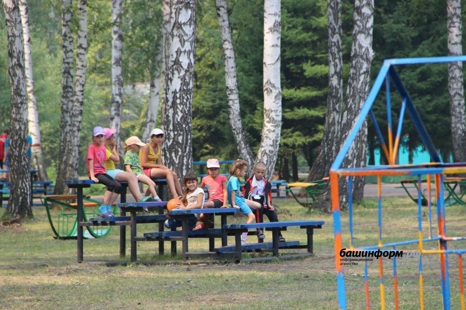 Эксперты предупреждают о новых схемах мошенников с детскими лагерями