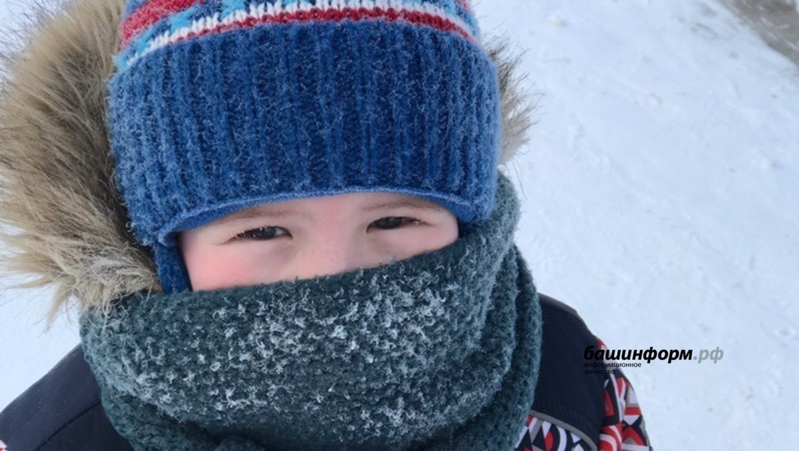 В Россию придёт аномально холодная зима