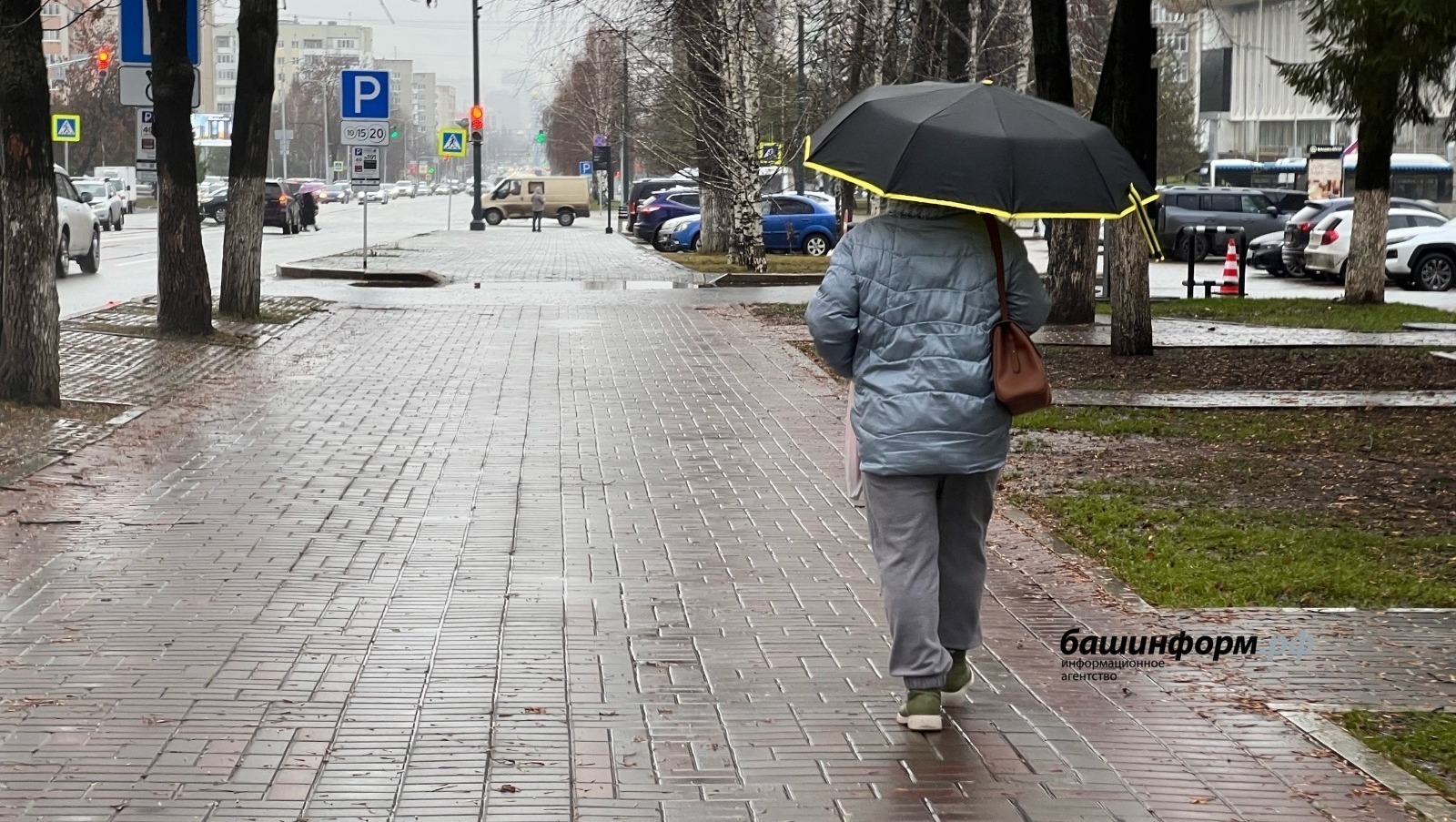 В Башкирии ожидается мокрый снег с дождем