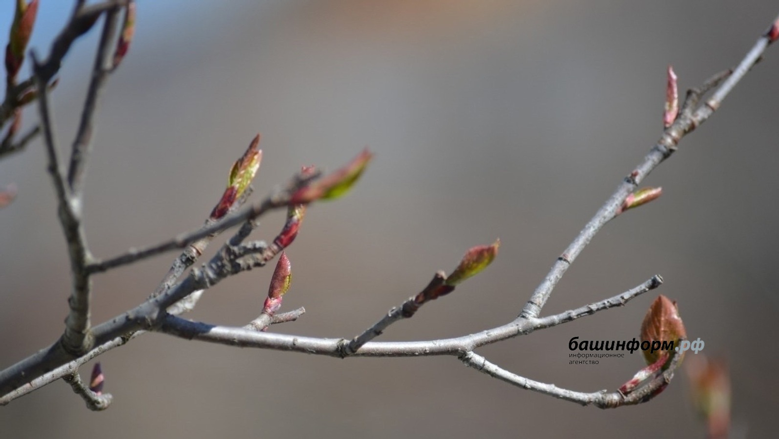 В Башкирии ухудшается погода