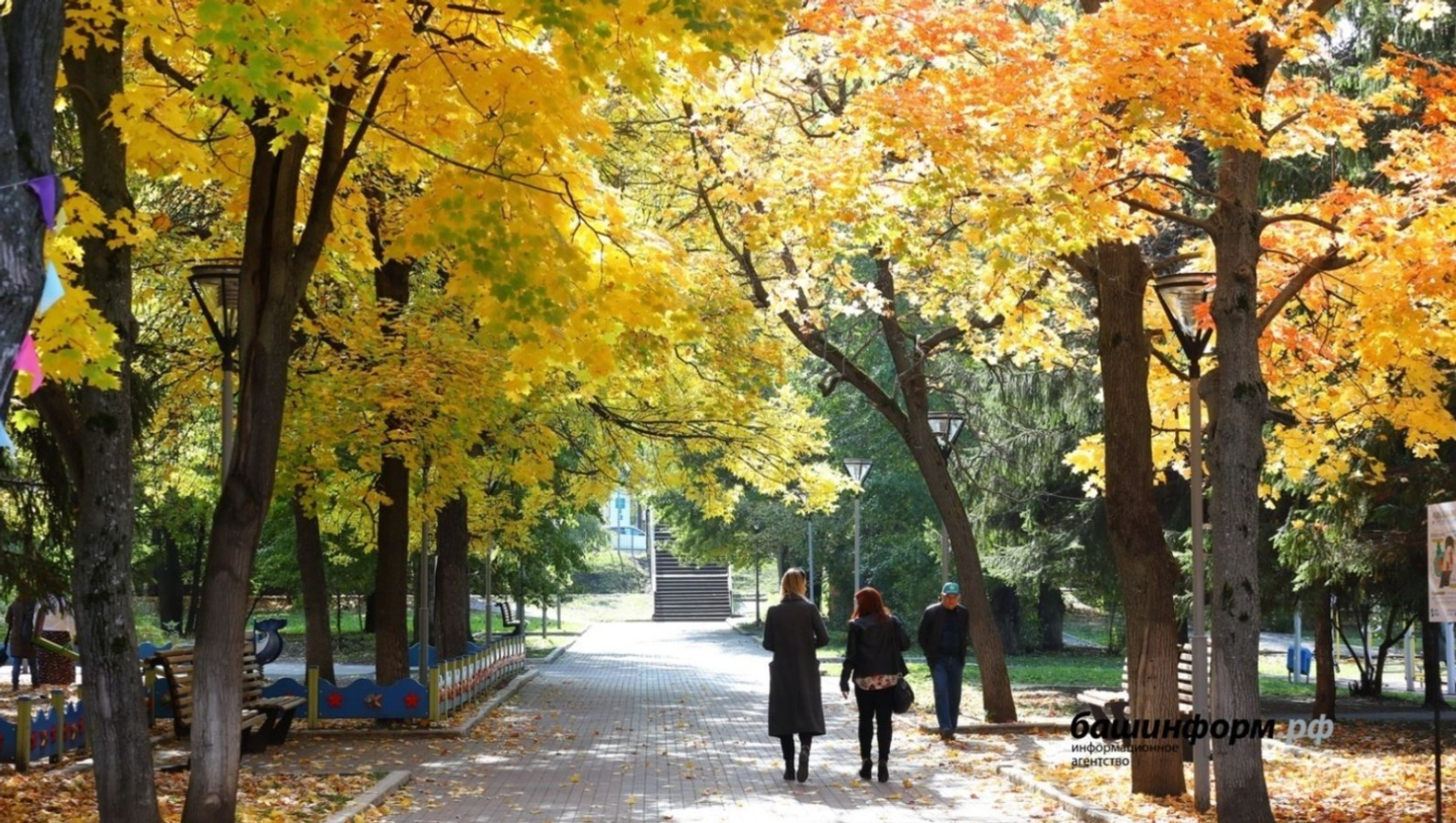 Какие законы вступают в силу с 1 октября 2025 года