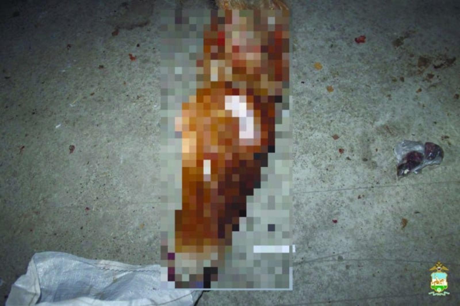 В Башкирии охотники подстрелили чужую лошадь и разделали ее тушу