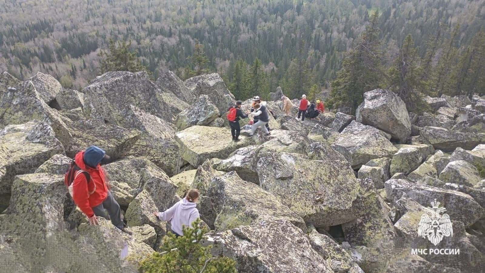 Туристы в Башкирии подверглись нападению медведя