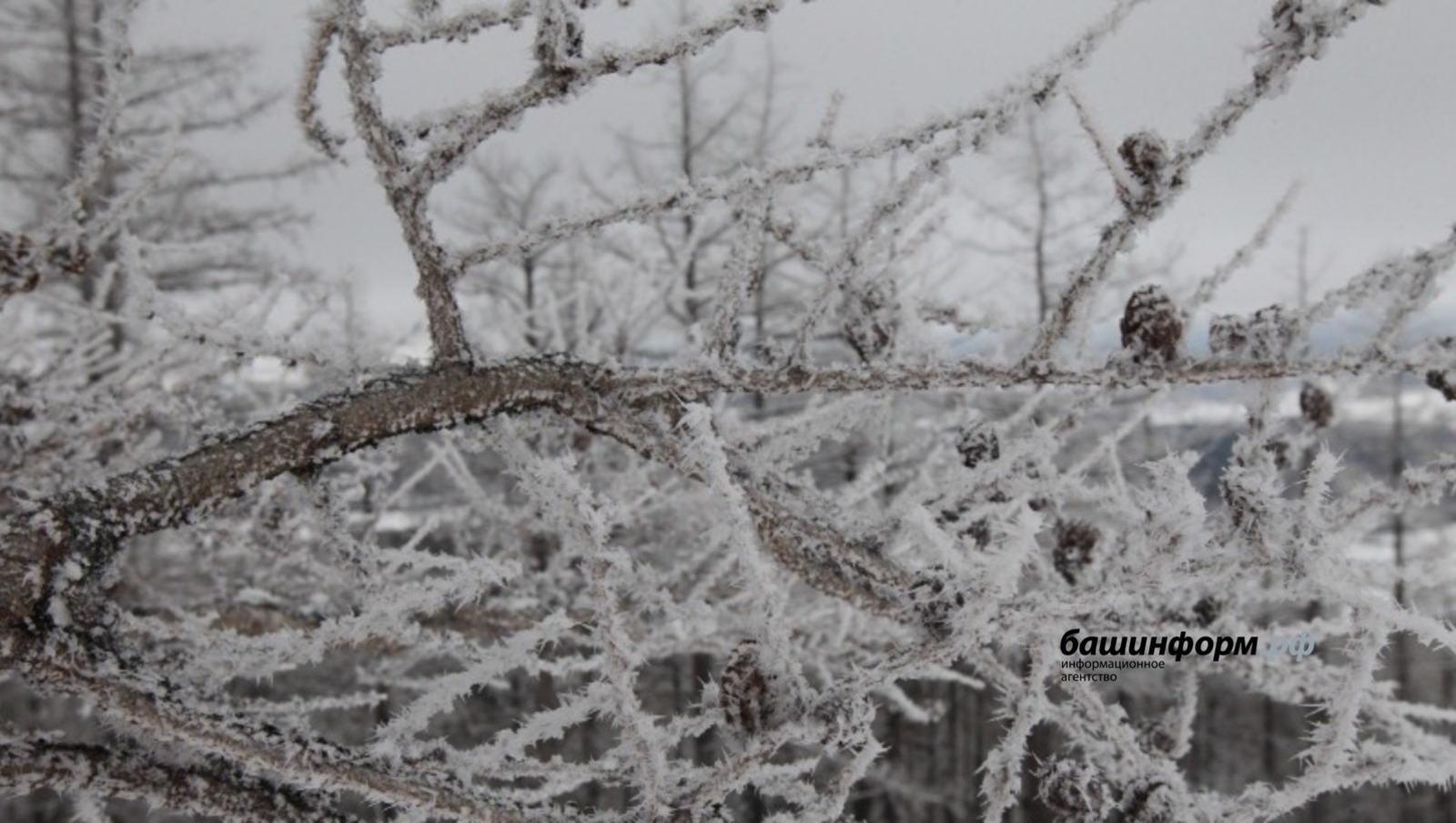 В некоторых районах Башкирии в ближайшие дни похолодает до 28 градусов мороза