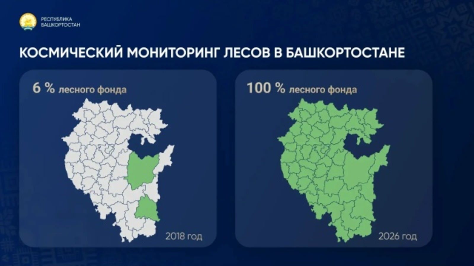 В Башкирии 100 процентов леса находится под космическим мониторингом