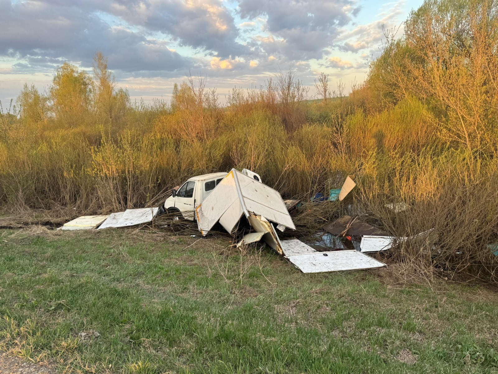 В Башкирии под колесами машины погиб лось