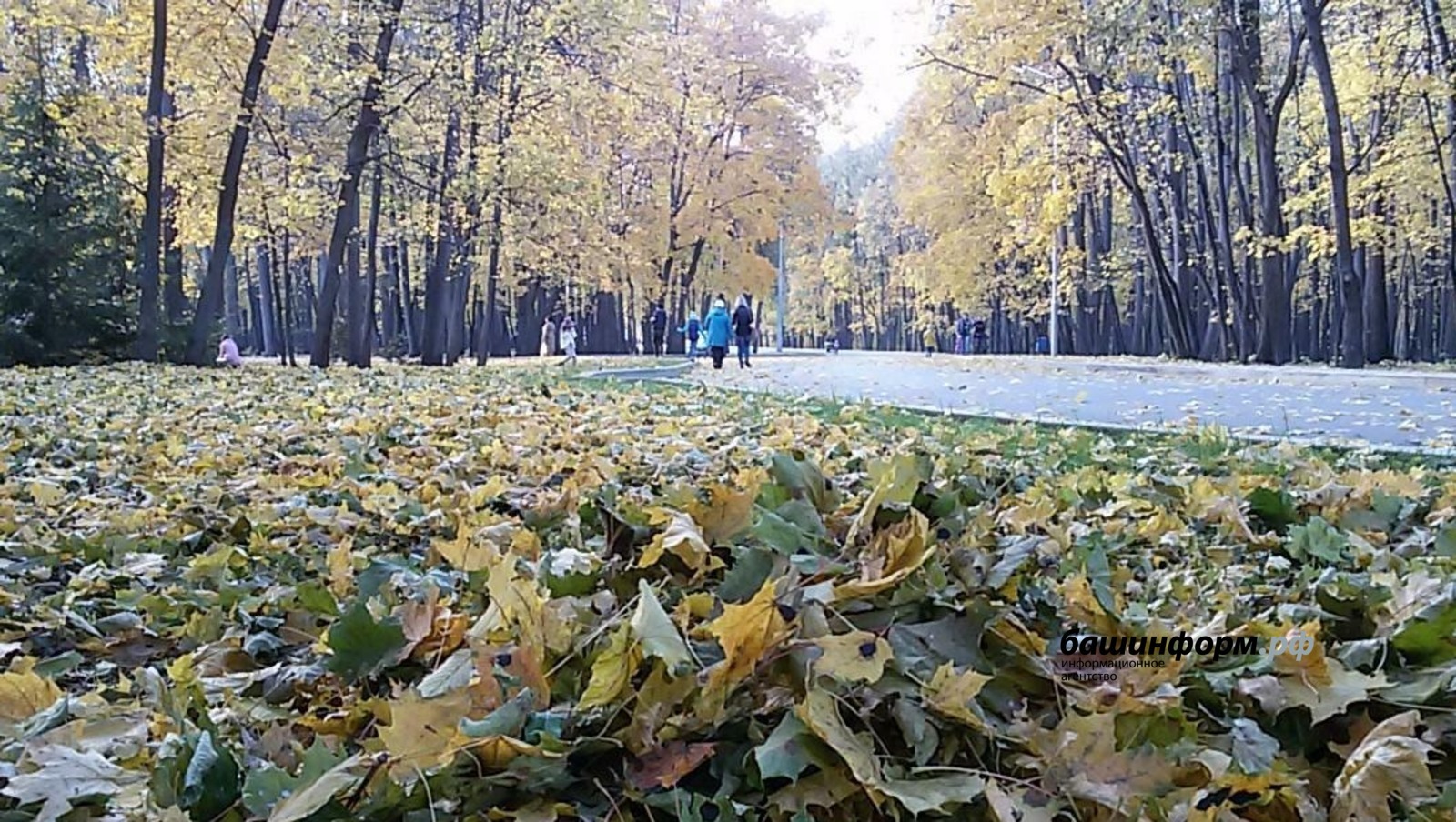 Синоптики дали прогноз на выходные в Башкирии