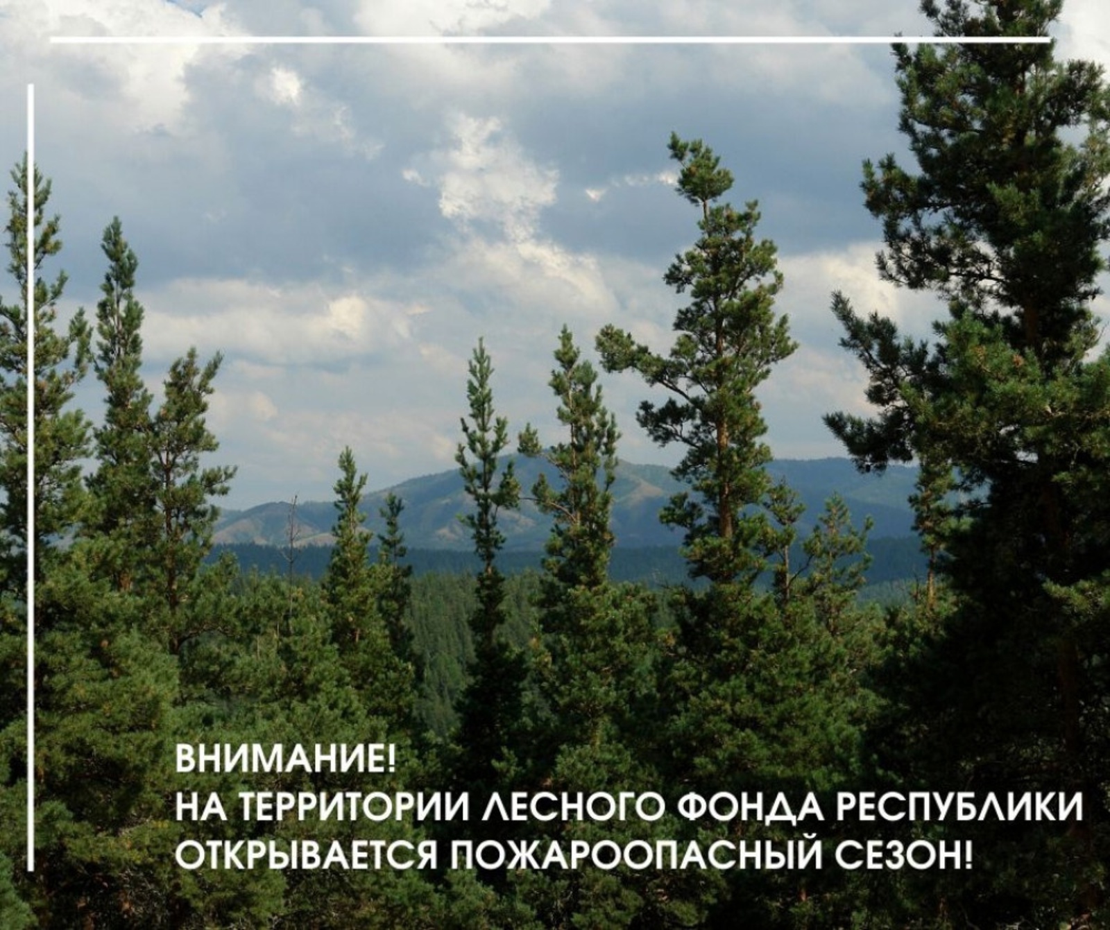 На территории лесного фонда Башкортостана открывается пожароопасный сезон