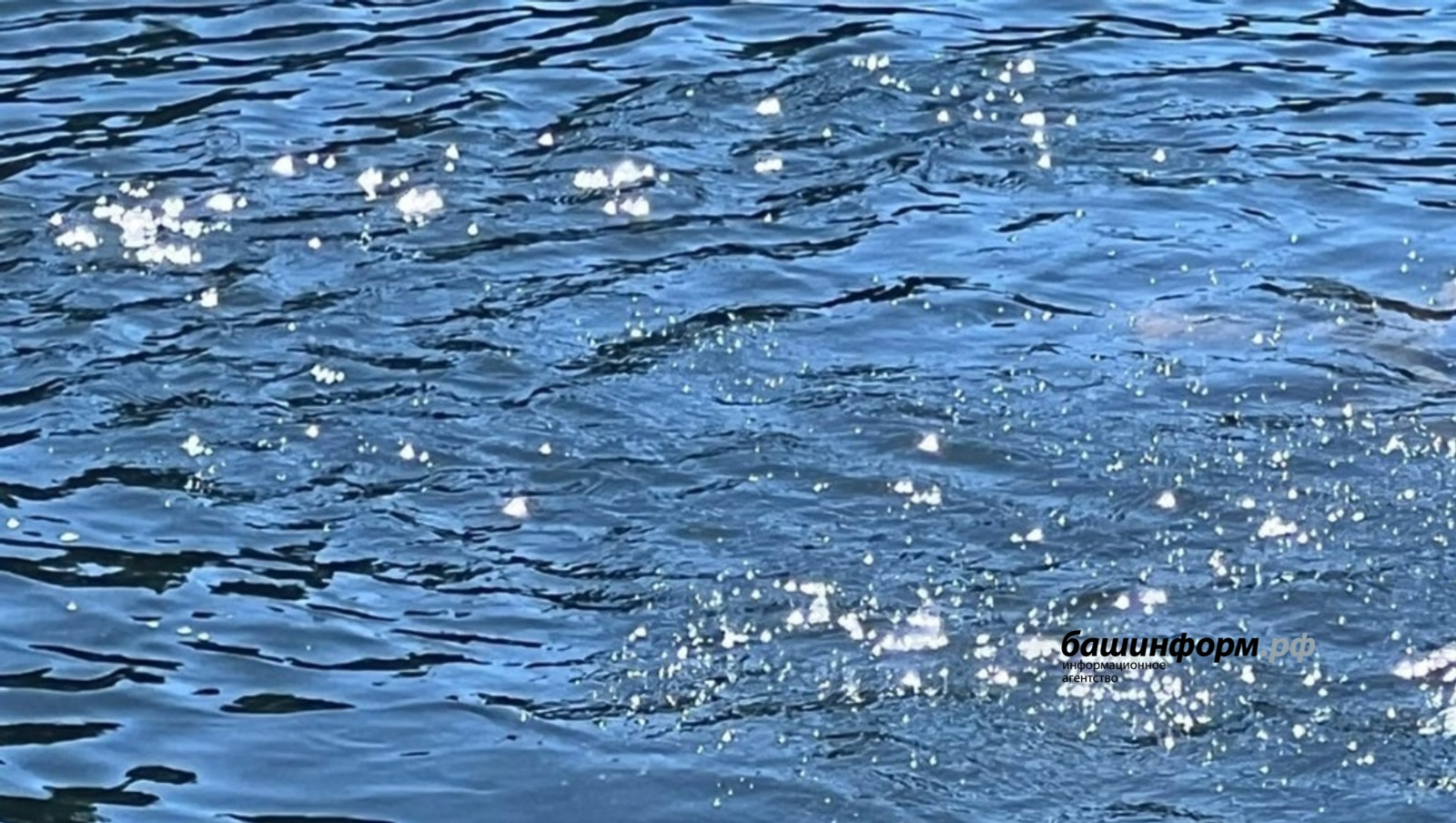 В Башкирии из водохранилища достали тело пожилой женщины