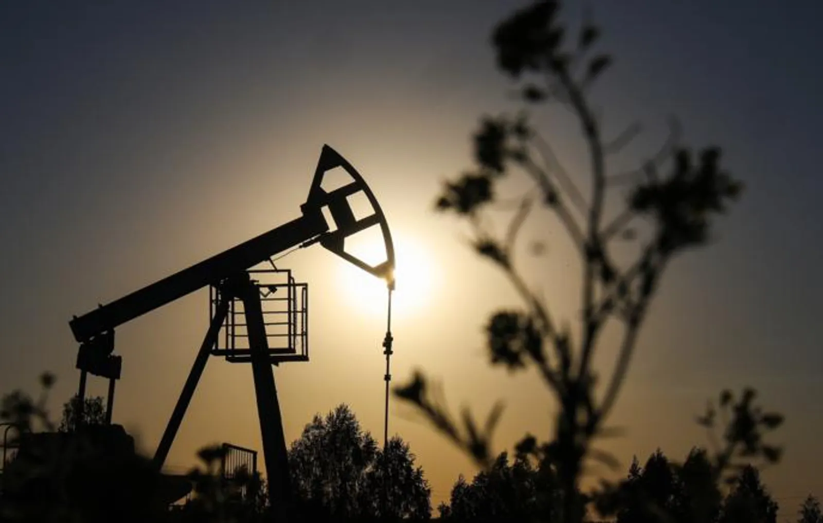 Путин: доля доходов бюджета от нефтегаза сократилась с 50% до 20%