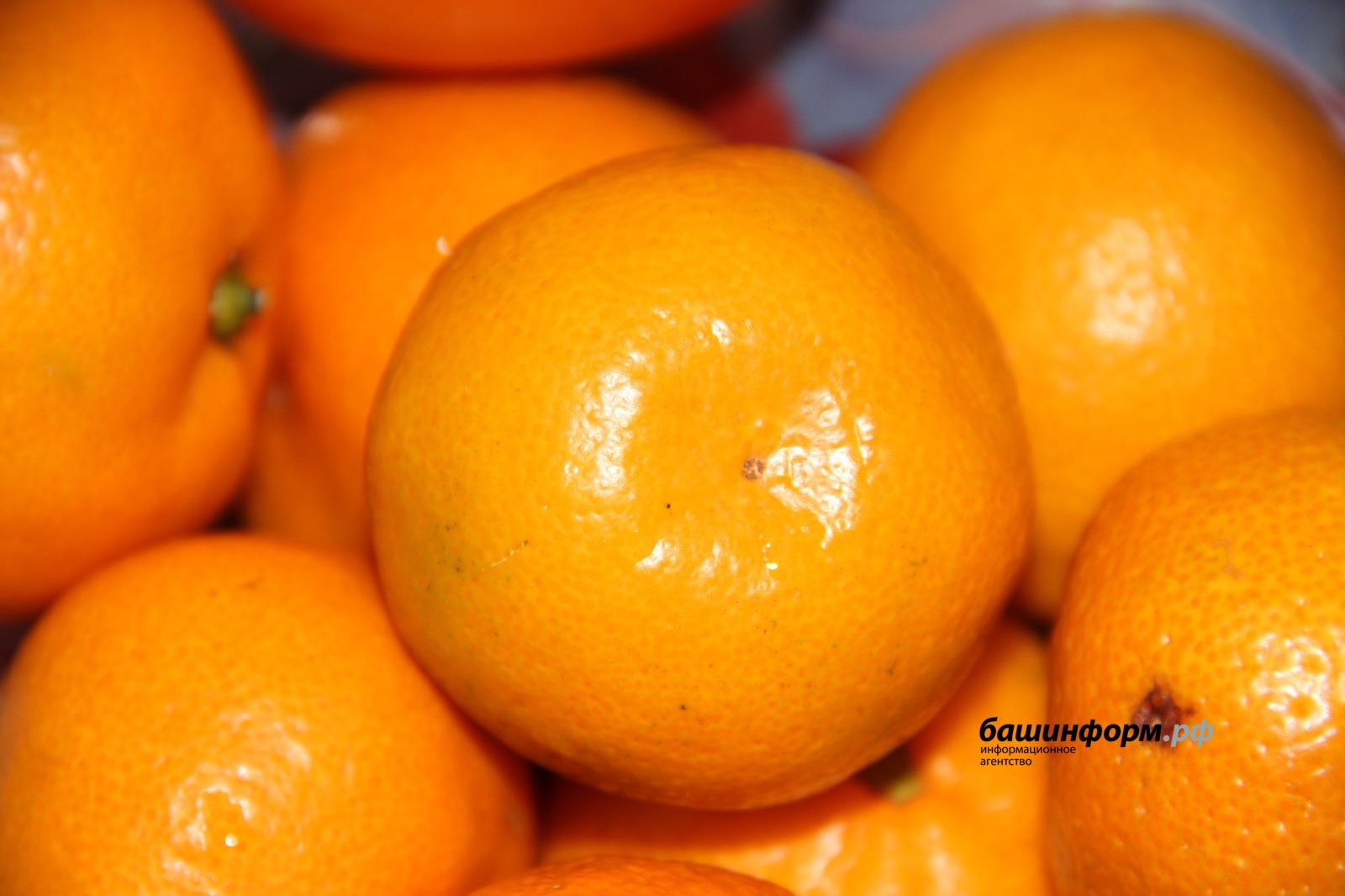 Стало известно, сколько в Башкирию ввезли импортных фруктов в 2025 году