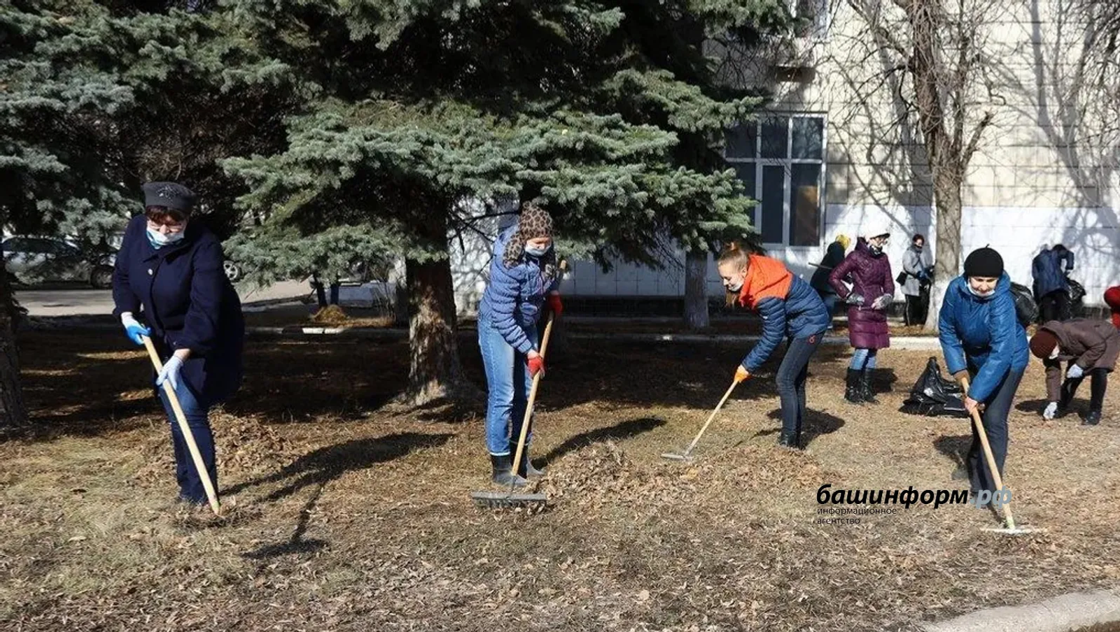Глава Башкирии поручил готовиться к стрижке одуванчиков