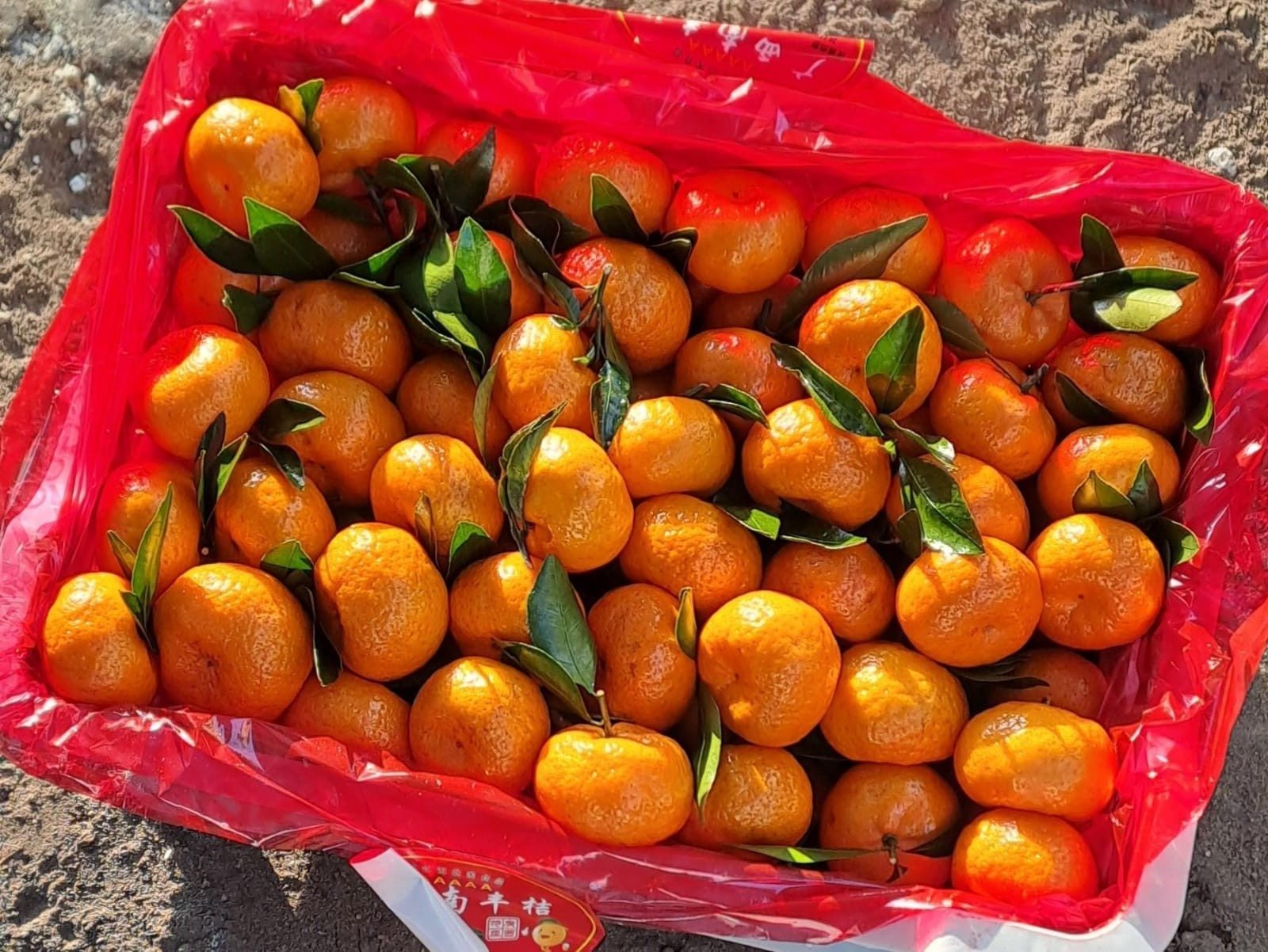 В Башкирии появились мандарины из Китая