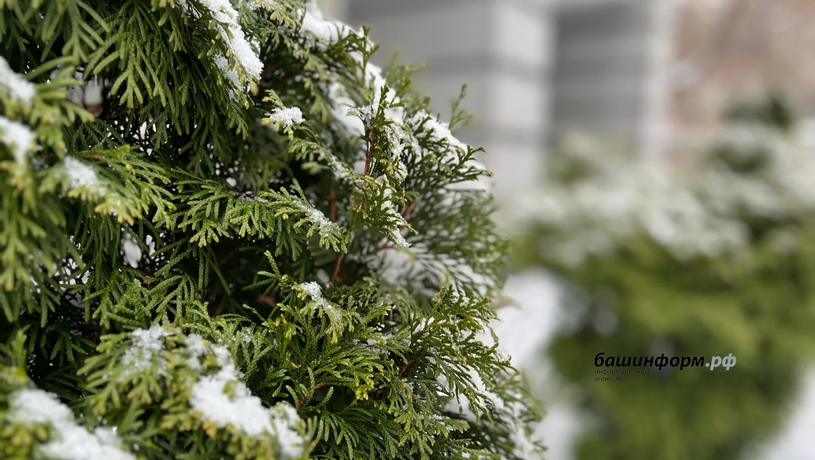 В Башкирии прогнозируются дожди со снегом