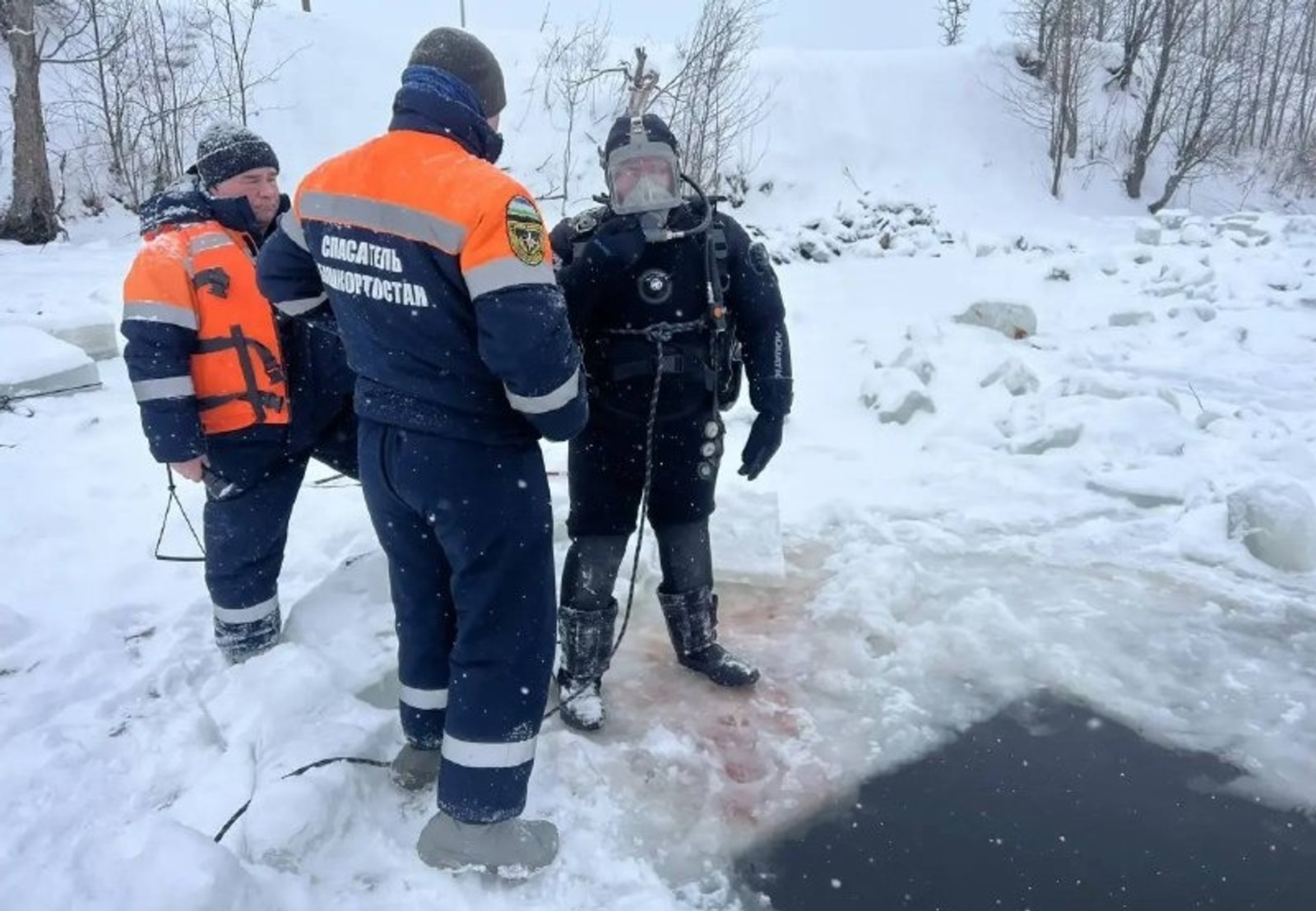 Стало известно, сколько туш овец достали из озера в Башкирии