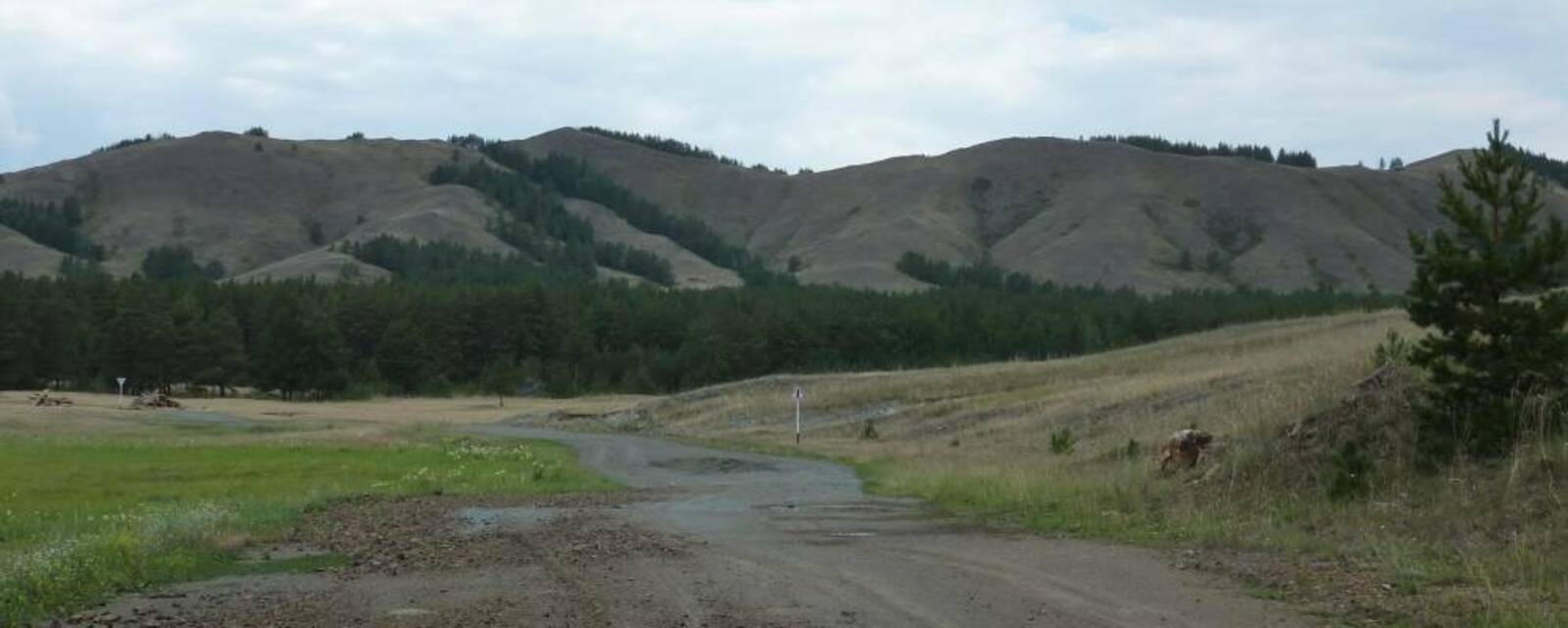 ППМИ - 2026: Старое кладбище – новое ограждение