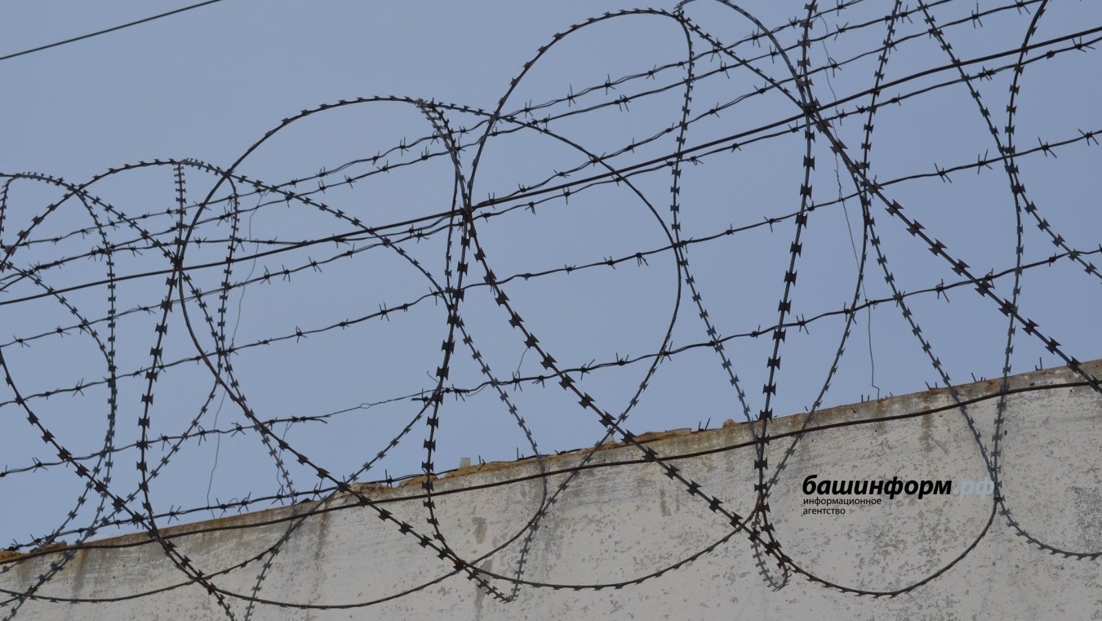 Исполнителей теракта в «Крокусе» приговорили к пожизненным срокам