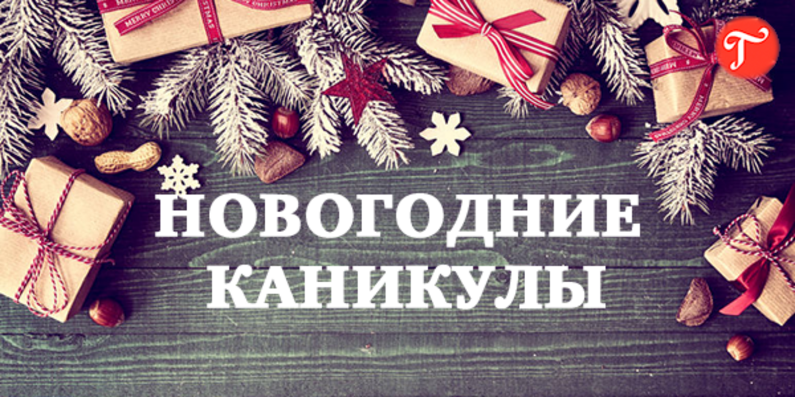 Роспотребнадзор призвал жителей России проводить новогодние каникулы дома