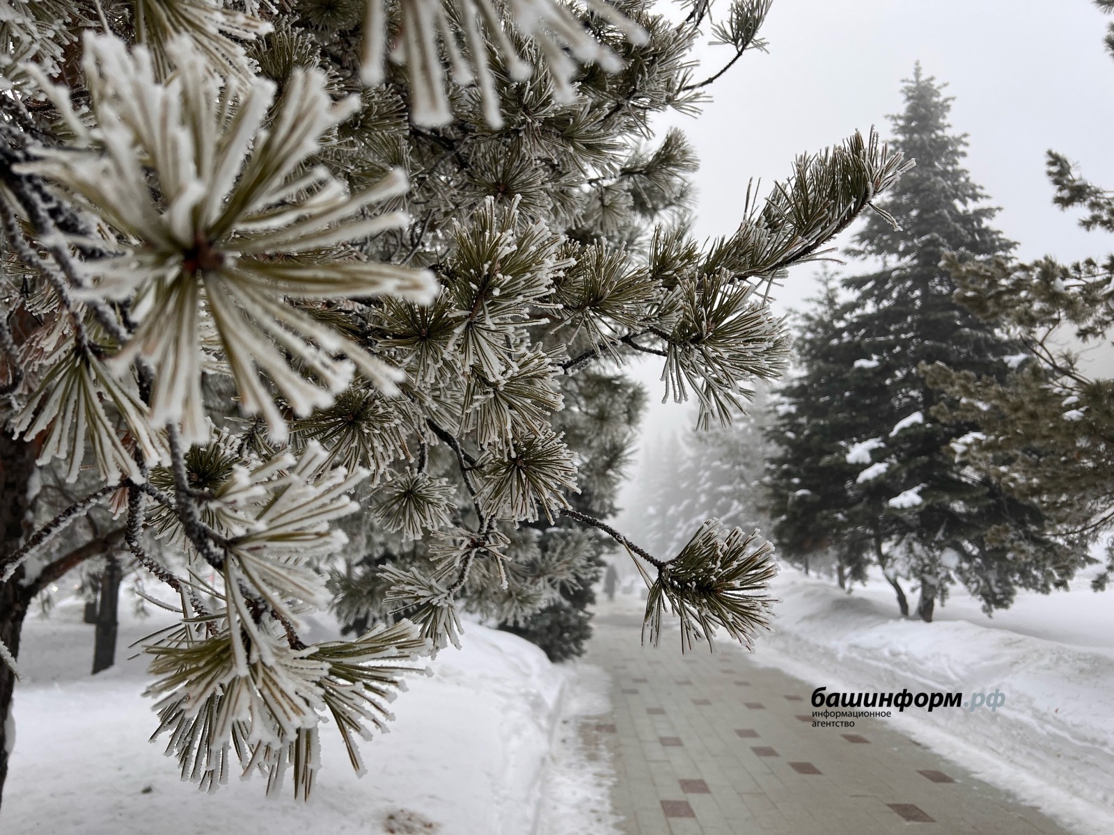 Жителей Башкирии предупредили о тумане и гололедице