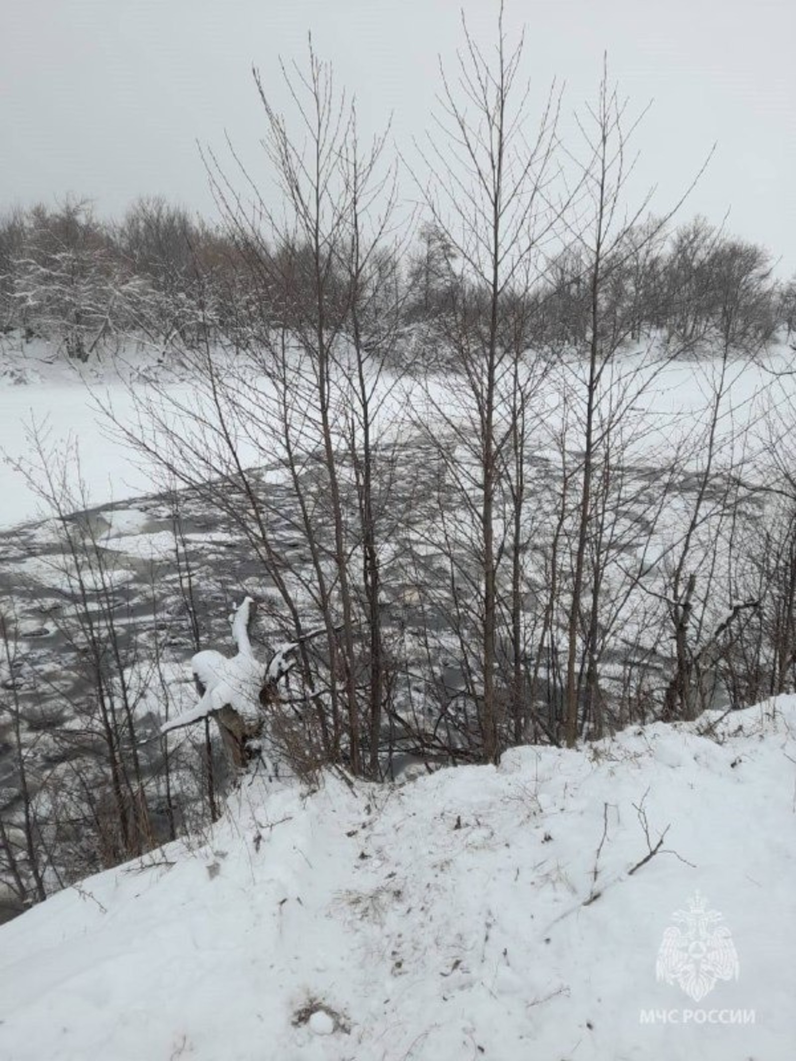 В Башкирии хозяин утонувшего стада баранов привлекался за нелегальный выпас