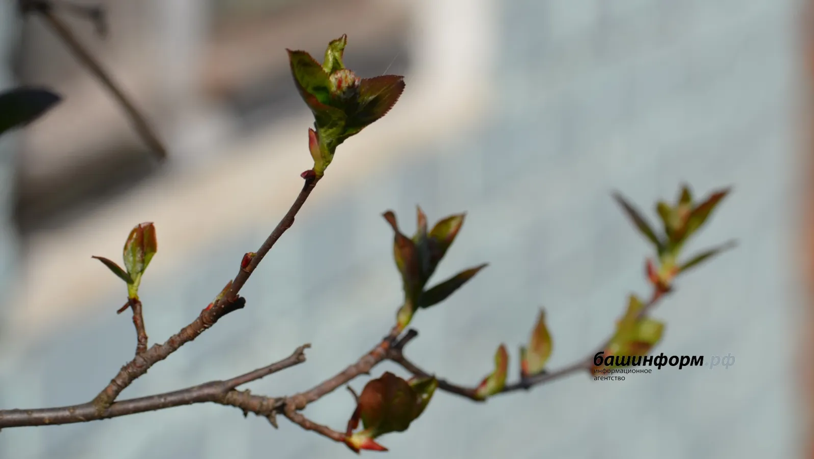 Синоптики сообщили о погоде в Башкирии в предстоящие выходные