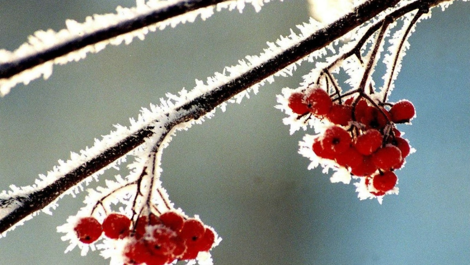 Календарная зима в Башкирии начнется с трескучих морозов