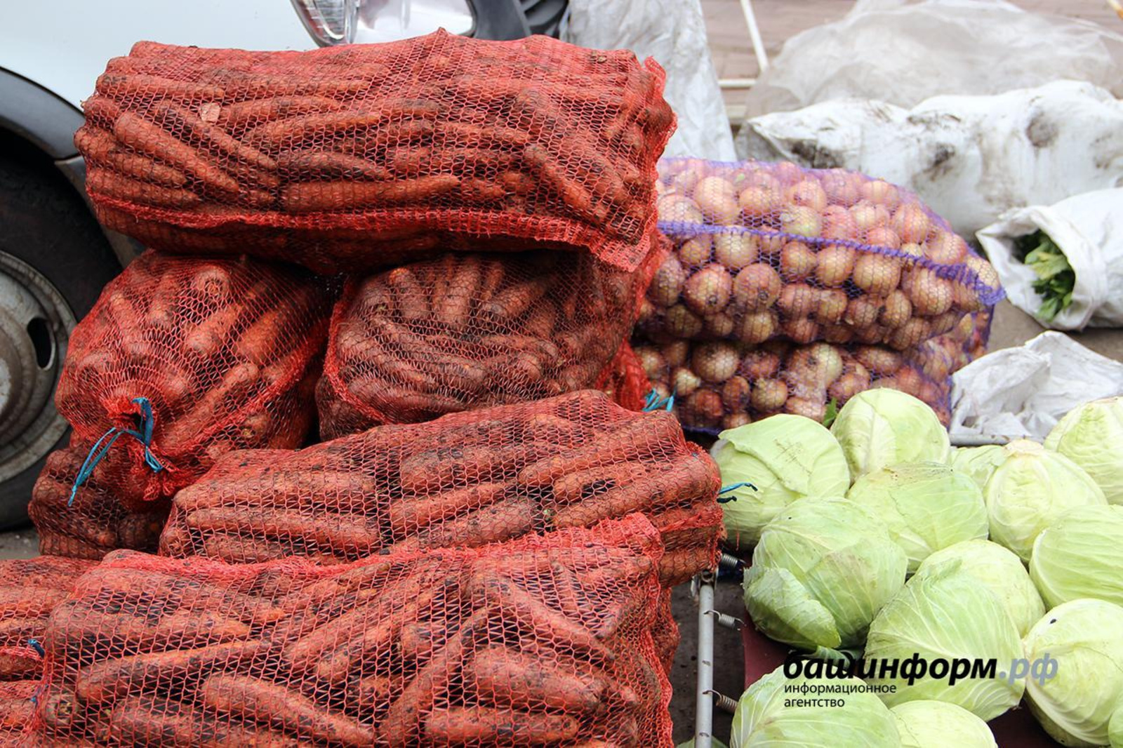 В Башкирии будут следить за необоснованным ростом цен на социально значимые продукты