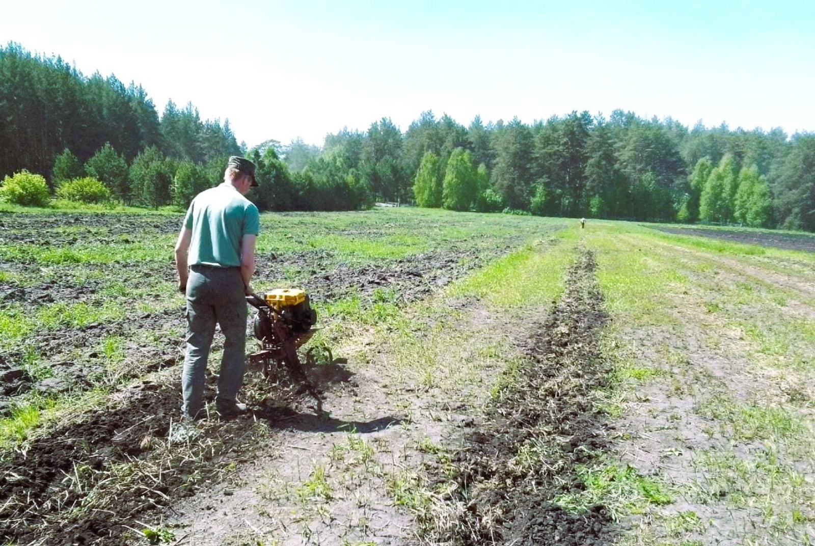 Башкирские лесоводы рассказали, как они борются с сорняками