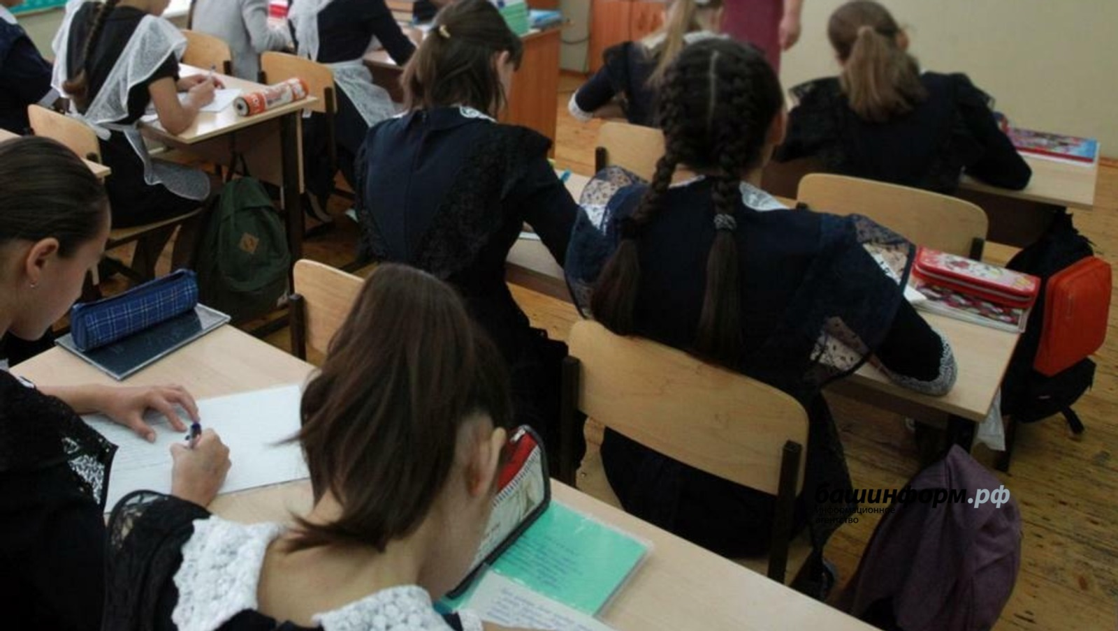 В школах Башкирии отменят уроки обществознания для 6–8-х классов