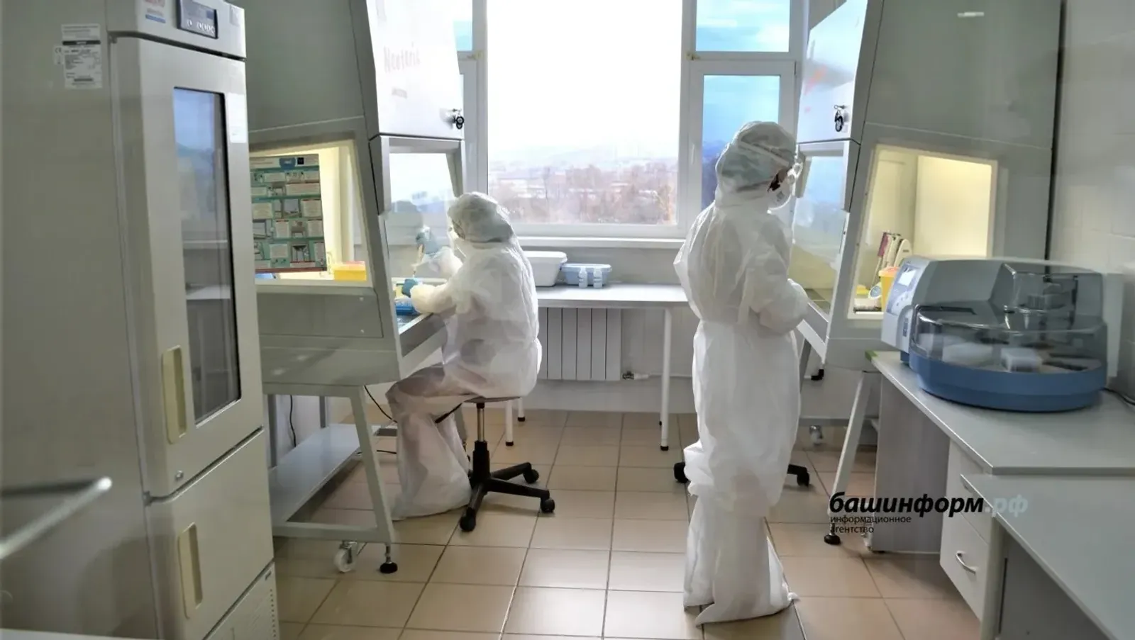 В Башкирии врачи рассказали, как не заболеть хантавирусом