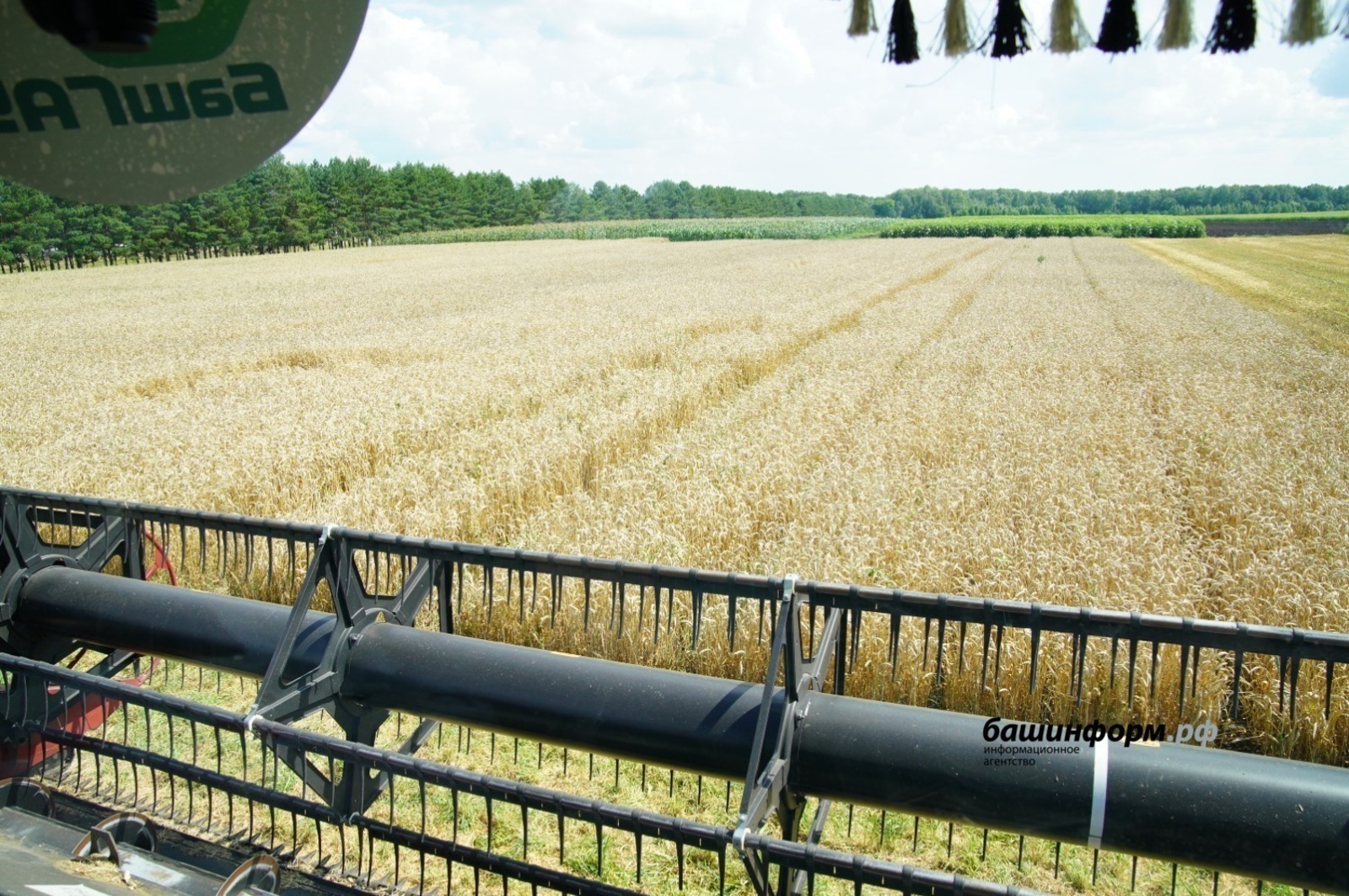 Башкирия экспортировала крупную партию зерна в Казахстан
