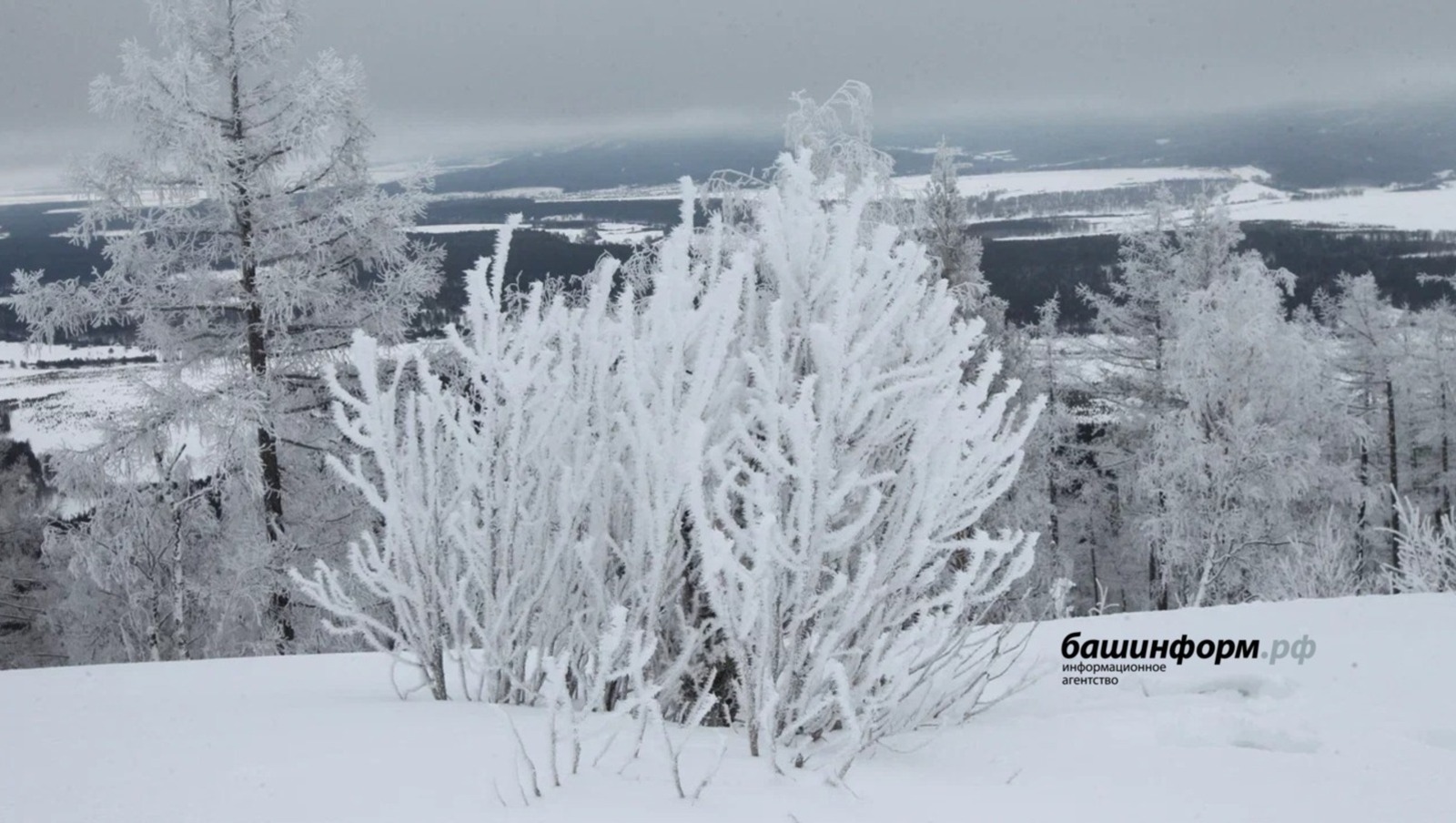 В Башкирию вернутся морозы