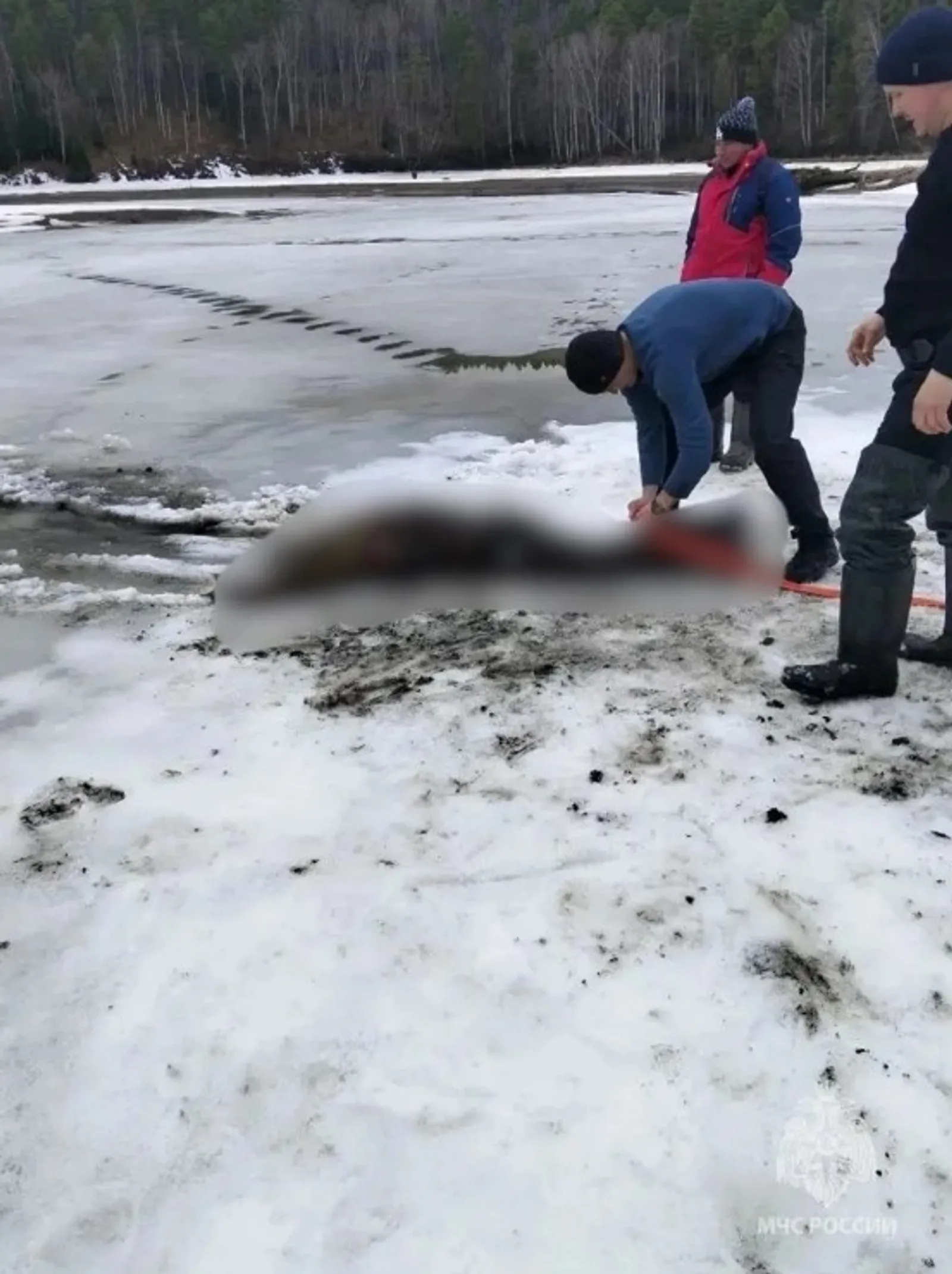 В Башкирии из пруда достали труп мужчины