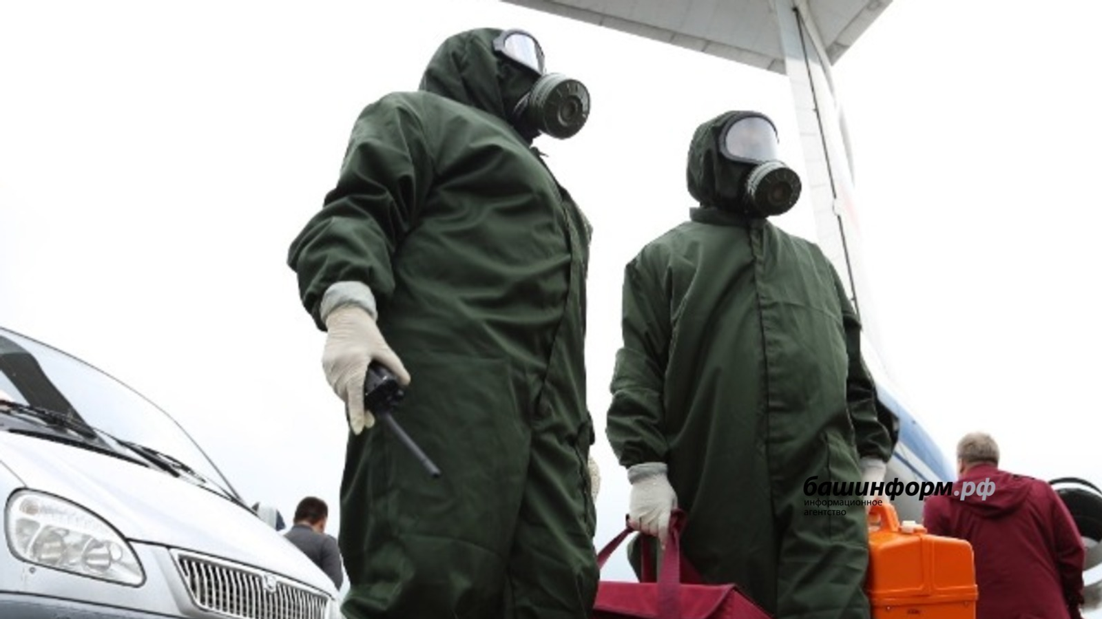 В деревне в Учалинском районе Башкирии ввели карантин по бешенству