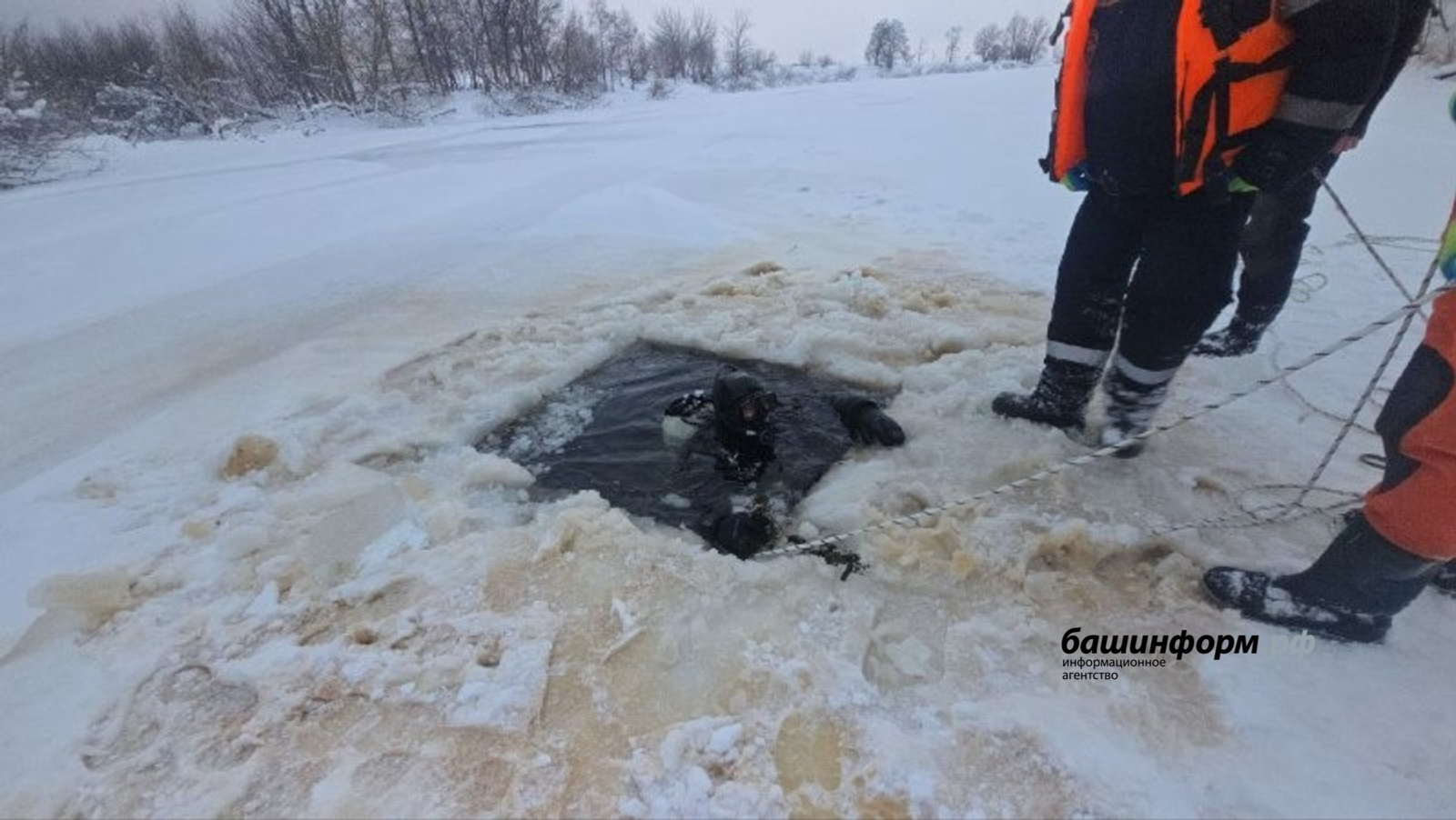 В Башкирии спасатели рассказали, как достали из озера более 960 туш овец